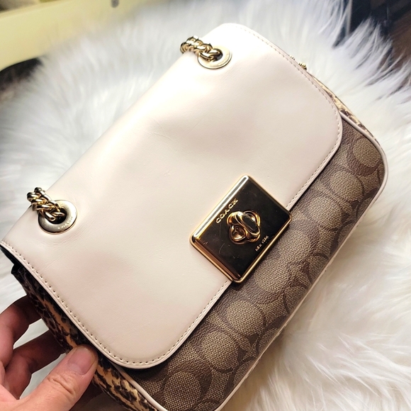 Coach - Picture 2 of 12